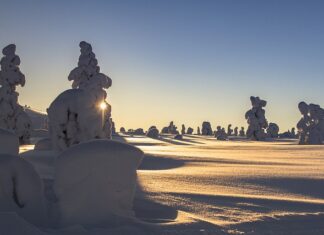 Jakie obciążenie wytrzyma płyta OSB? Jakie obciążenie wytrzyma płyta OSB?