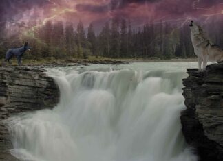 Co to znaczy kordonek?