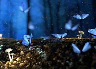 Czy można palić drewno z gwoździami?