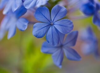 Co dać na stół żeby się nie Rysował? Co dać na stół żeby się nie Rysował?